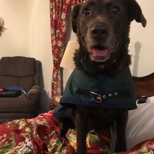 Meet your Posher, Erin